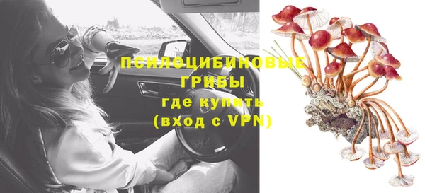 спайс Баксан