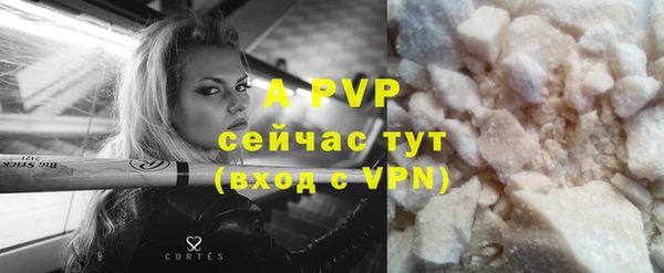 индика Балахна