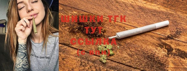 индика Балахна