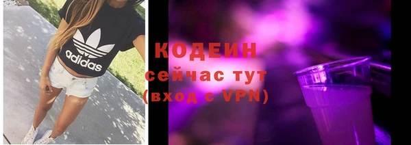 индика Балахна